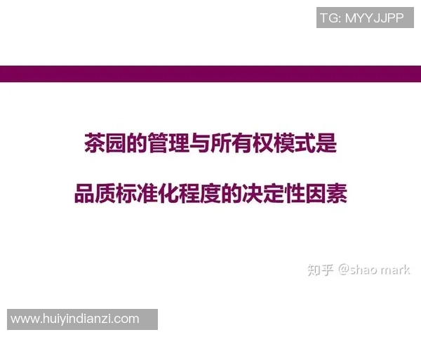 广州与南京乒乓球队赛后技术分析与战术对比探讨